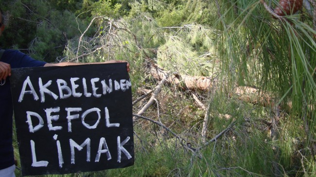 Akbelen’deki orman direnişi 9. gününde: Talan devam ediyor