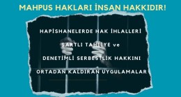 İHD İstanbul’da “Mahpus hakları İnsan hakkıdır” paneli düzenliyor