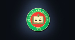 Diyarbakır Barosu yangınlar hakkında suç duyurusunda bulundu