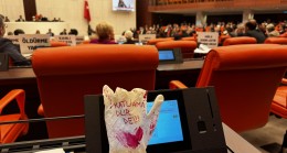 Sokak hayvanları düzenlemesi: İlk 5 madde protestolar eşliğinde kabul edildi
