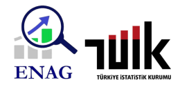 Türkiye’de Temmuz Ayı Enflasyonu: TÜİK ve ENAG verileri arasında 39 puan fark var