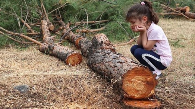 Akbelen için BM’ye başvuru