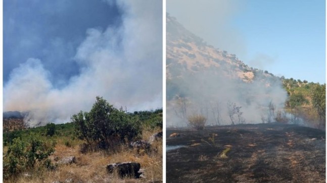 Diyarbakır, Bingöl ve Şırnak’ta orman yangını