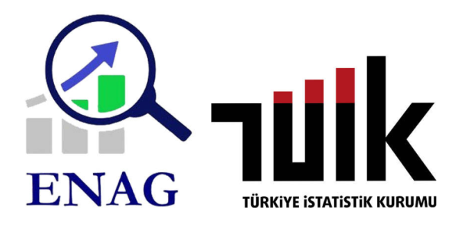 Türkiye’de Temmuz Ayı Enflasyonu: TÜİK ve ENAG verileri arasında 39 puan fark var