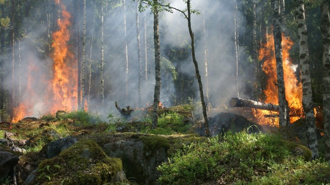 Çanakkale’de yangın nedeniyle 11 köy tahliye edildi