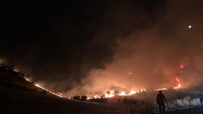 Diyarbakır ve Mardin’de çıkan yangınlarda 5 kişi yaşamanı yitirdi