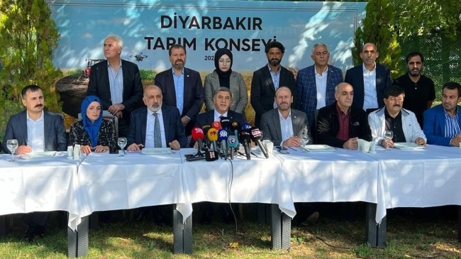 Tarım Konseyinden anız çağrısı: Anız yakmak toprağın verimini düşürüyor