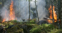 Çanakkale’de yangın nedeniyle 11 köy tahliye edildi