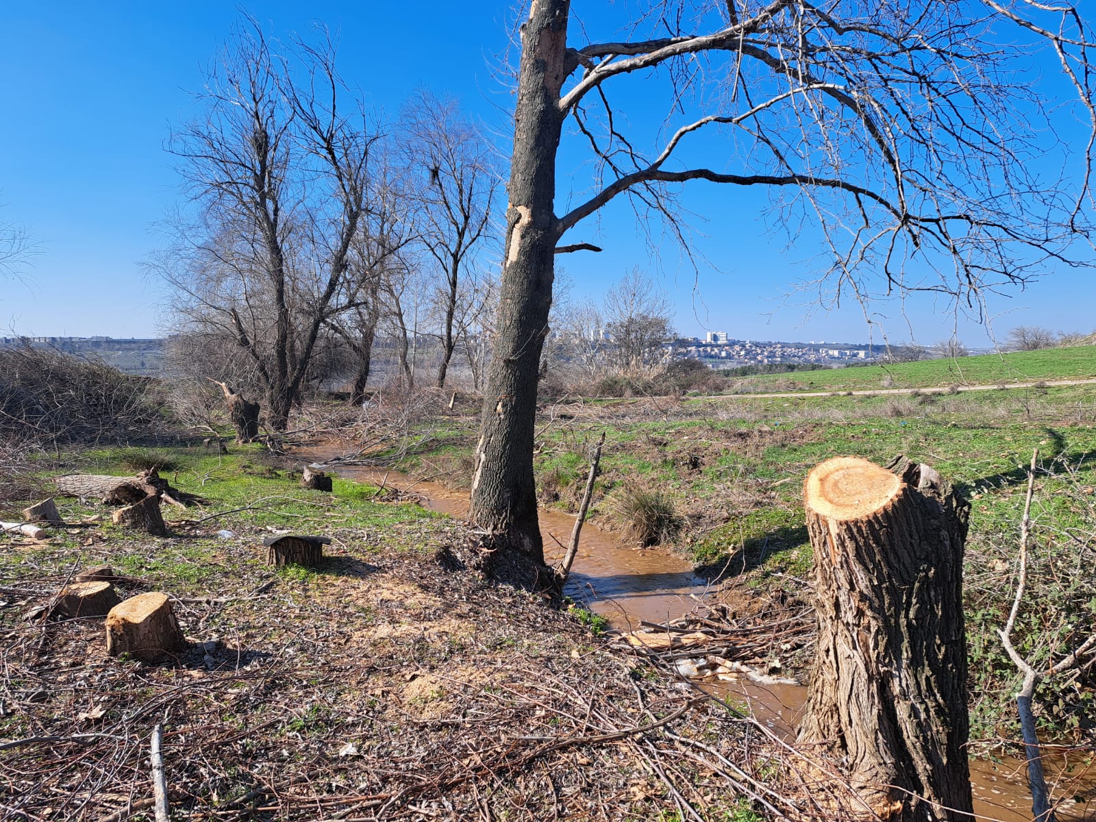 Classroom language 5 класс. Mori calliope rip. Classroom language spotlight. Listen and repeat. английский listen and repeat.